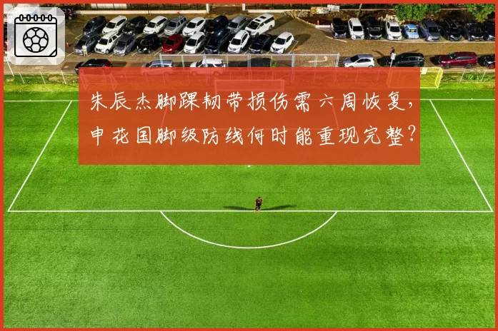 朱辰杰脚踝韧带损伤需六周恢复，申花国脚级防线何时能重现完整？