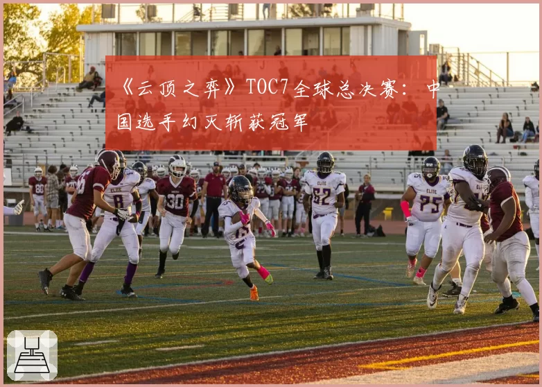 《云顶之弈》TOC7全球总决赛：中国选手幻灭斩获冠军