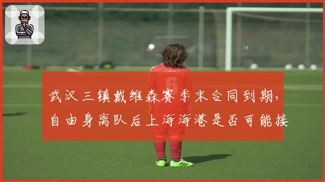 武汉三镇戴维森赛季末合同到期，自由身离队后上海海港是否可能接盘？
