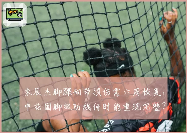 朱辰杰脚踝韧带损伤需六周恢复，申花国脚级防线何时能重现完整？