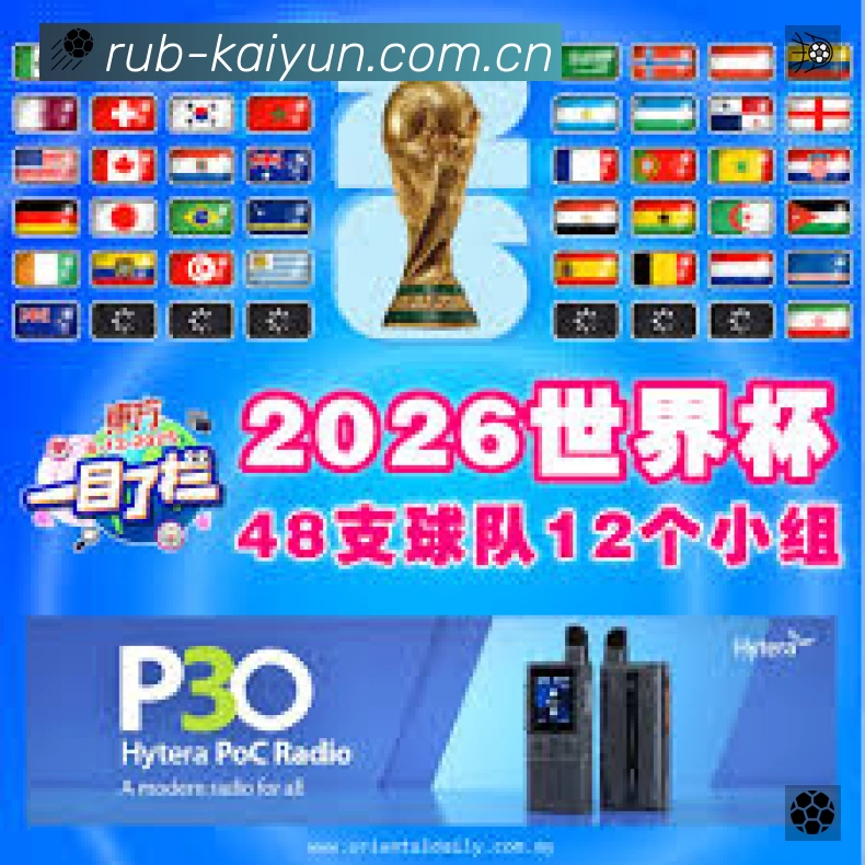 企业概况